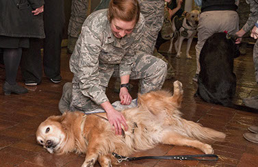 Uniformed Services University Student Wellness