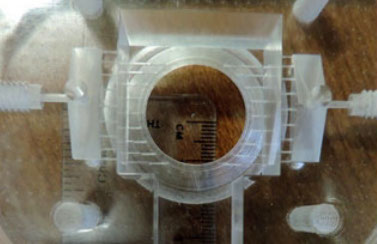 Bioreactor micro