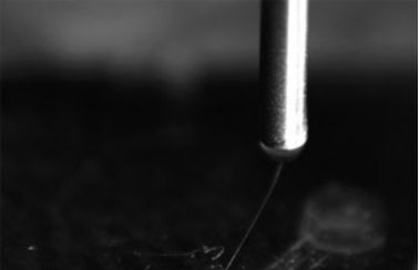 Electrospinning Fibrous Strand
